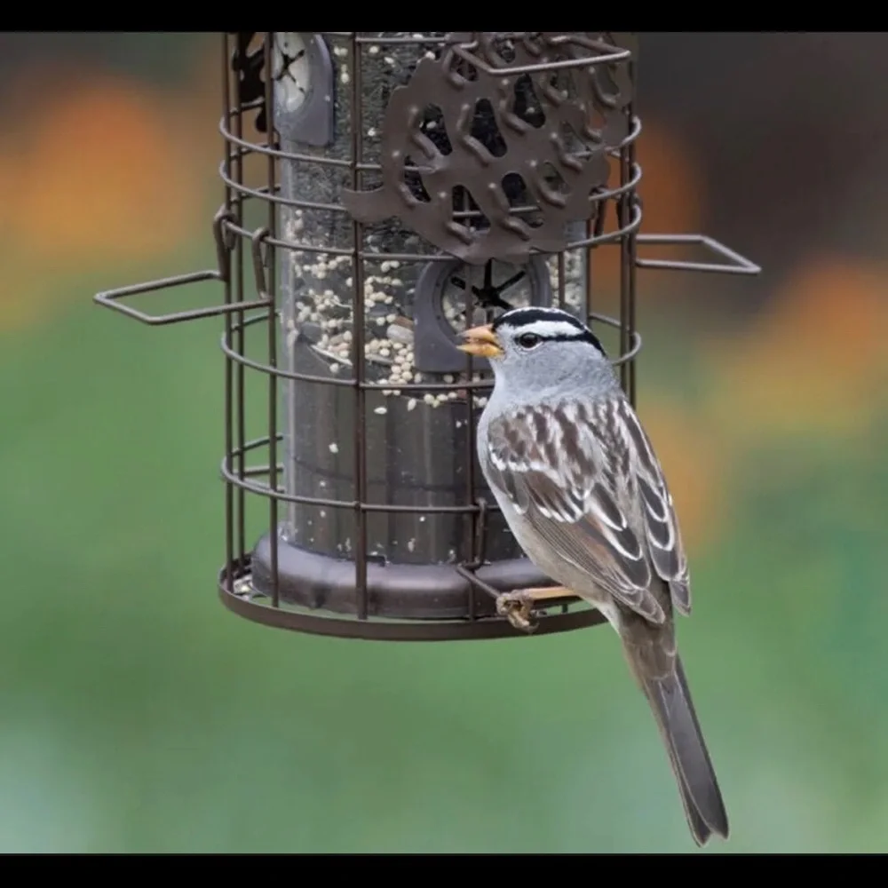 Perky Pets Squirrel Resistant Bird Feeder Hopper Make-Model UNKNOWN - Picture 12 of 13